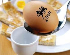 eggs vanko design