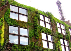 vertical-garden.jpg