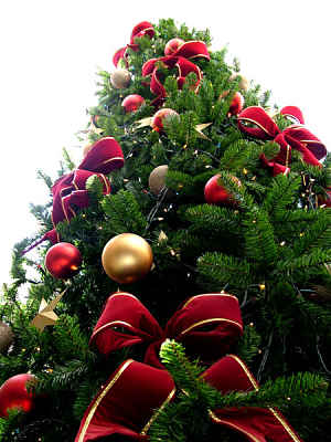 albero natale